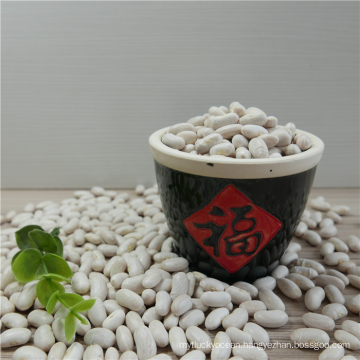 2016 crop White kidney beans price/Haricot beans/Baked bean